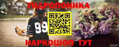 прущие грибы Пыть-Ях