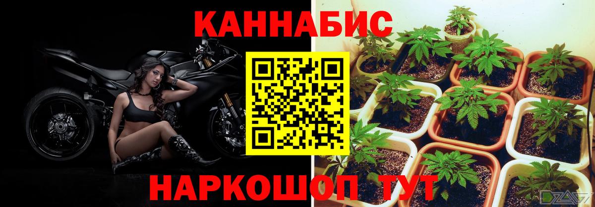 Бошки Шишки Bruce Banner  Каннабис VHQ  Сальск  Бошки марихуана White Widow  Вход с VPN 